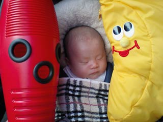 ²èÁü¤ÎÀâÌÀ ²èÁü¤ÎÀâÌÀ